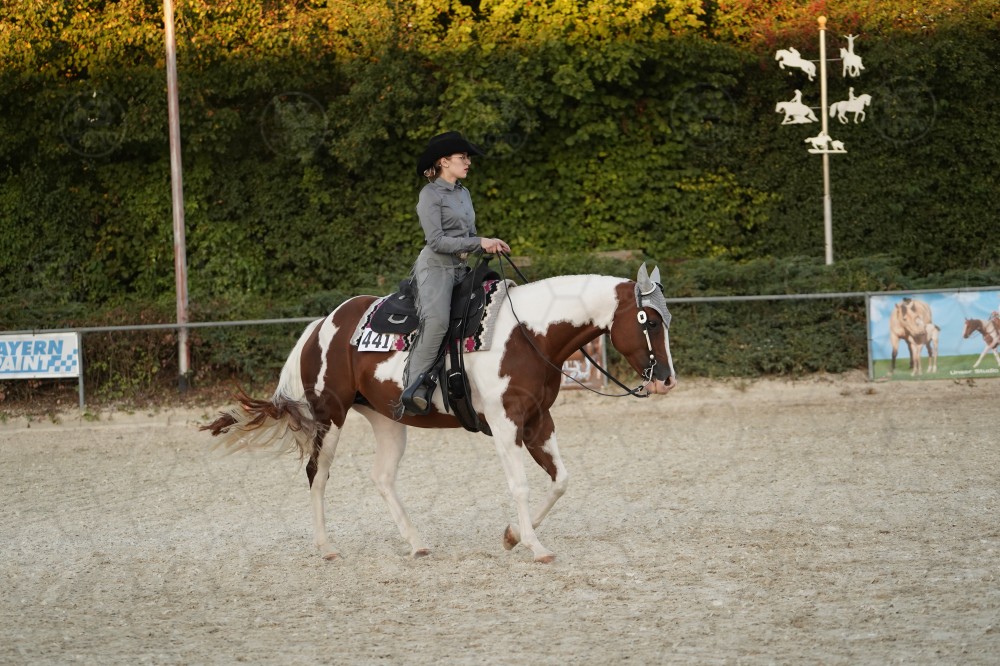 s_A_907017.JPG